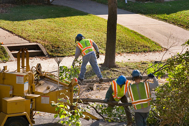 Best Tree Mulching Services  in Sharon, WI