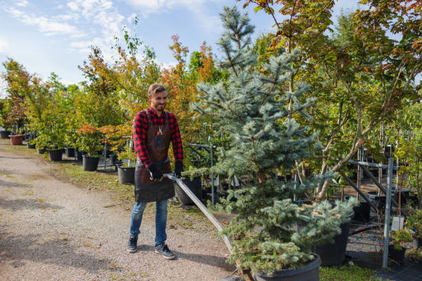 Best Fruit Tree Pruning  in Sharon, WI